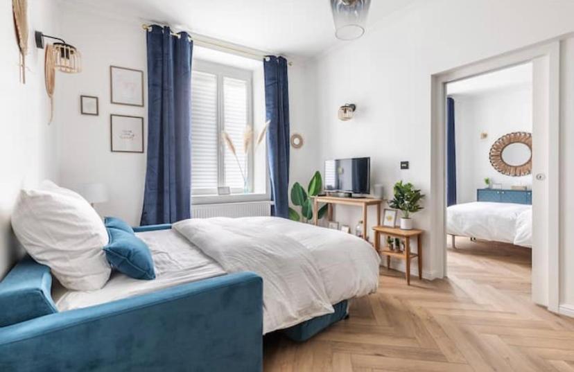 Appart Deluxe Prive Strasbourg Centre Avec Parking Gratuit Dış mekan fotoğraf